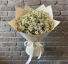 Букет цветов из:  Ромашки в Белогорье