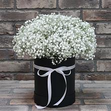 Цветочная композиция из Гипсофила в шляпной коробке в Белогорье
