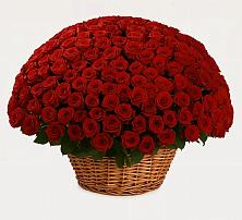 Премиум букет из: Розы в Белогорье